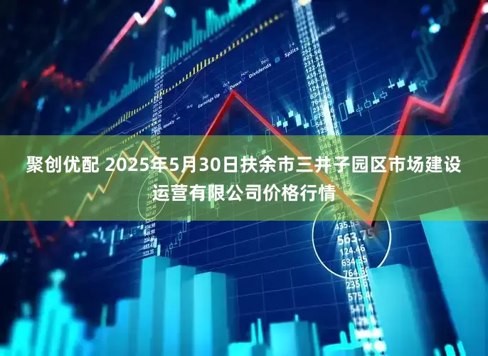 聚创优配 2025年5月30日扶余市三井子园区市场建设运营有限公司价格行情