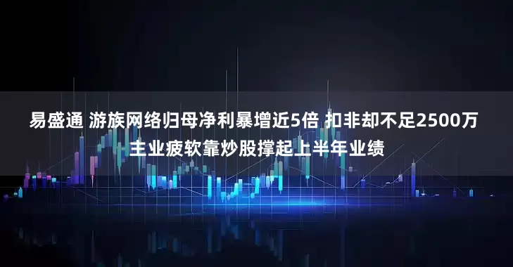 易盛通 游族网络归母净利暴增近5倍 扣非却不足2500万 主业疲软靠炒股撑起上半年业绩